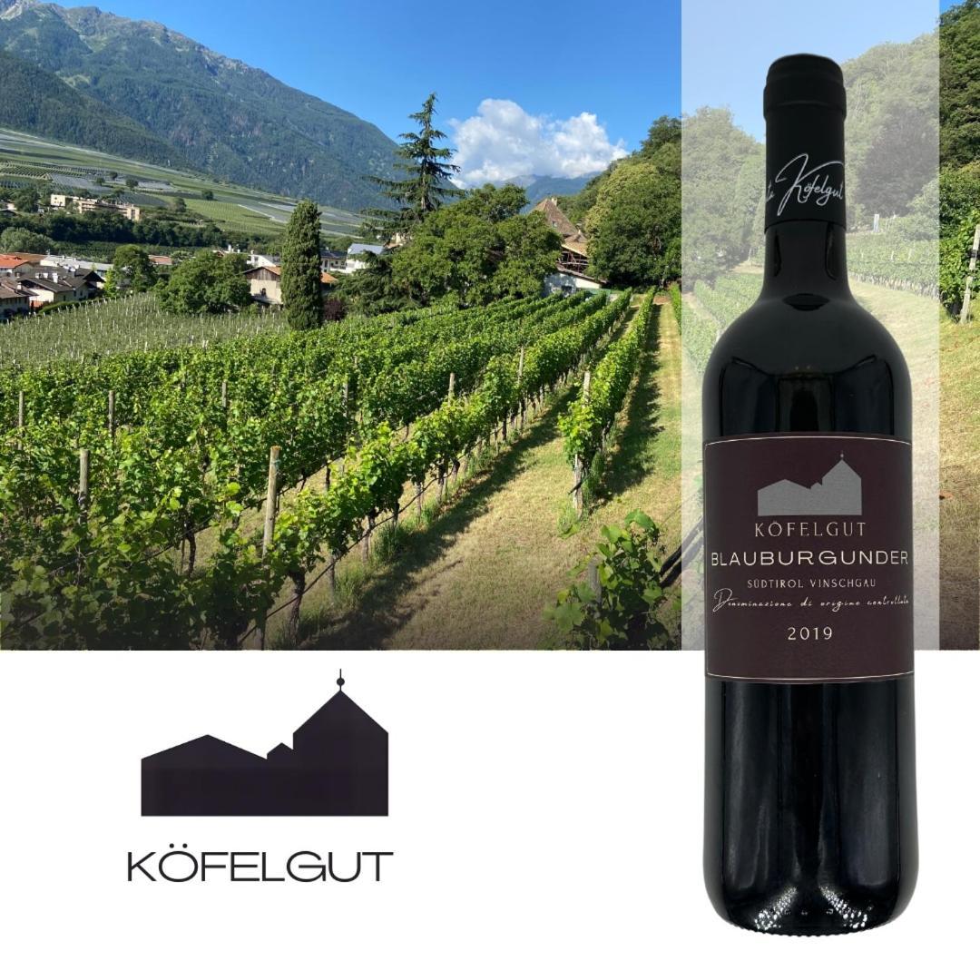 Weingut Koefelgut - Turris Vini Lägenhet Castelbello Exteriör bild